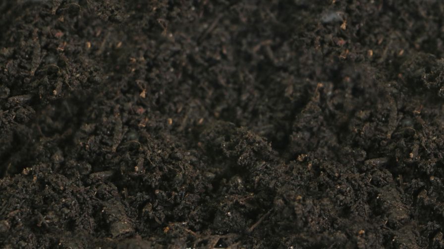 Combining compost’s valuable nutrients with peat’s moisture-retaining characteristics makes it ideal for potted flowering plants.