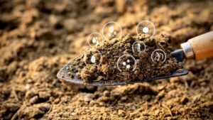 How Floral Shops Can Minimize Waste with Composting Strategies