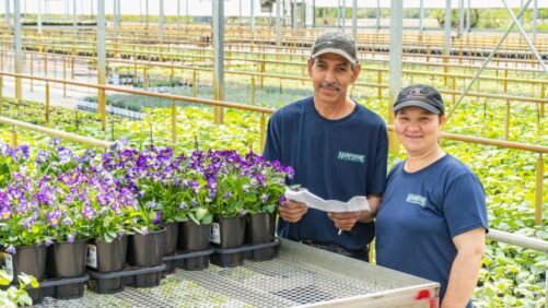 Great Examples of Long-Term Planning from Industry Experts