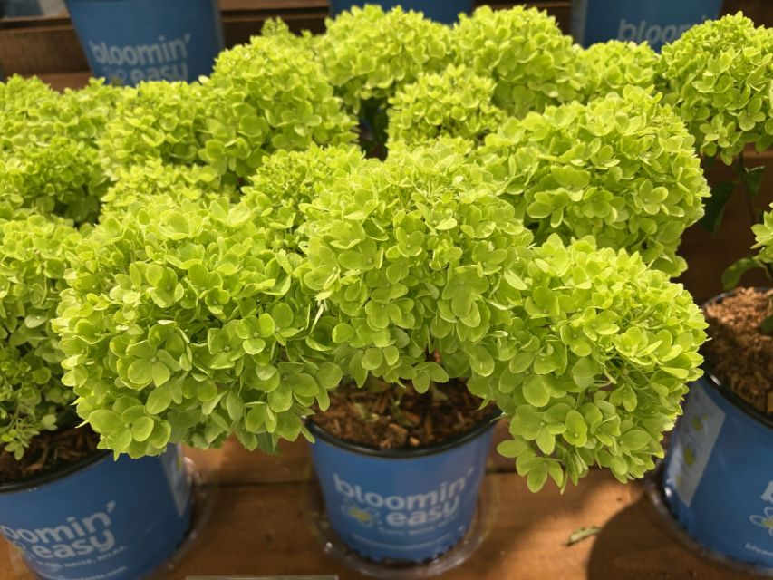 gardening trends