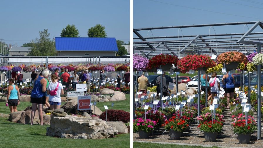 Trial garden attendees at the 2024 Plantpeddler Variety Day event.