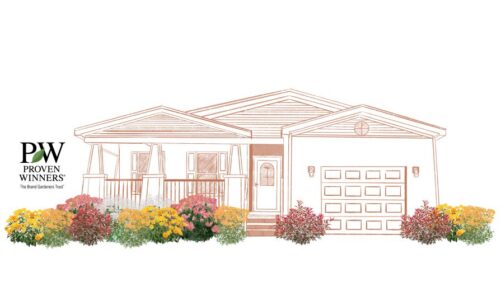 EZ Scapes Expands with Proven Winners ColorChoice Shrubs
