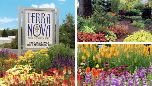 Terra Nova Opens Its Doors for 2025 Farwest Show Attendees