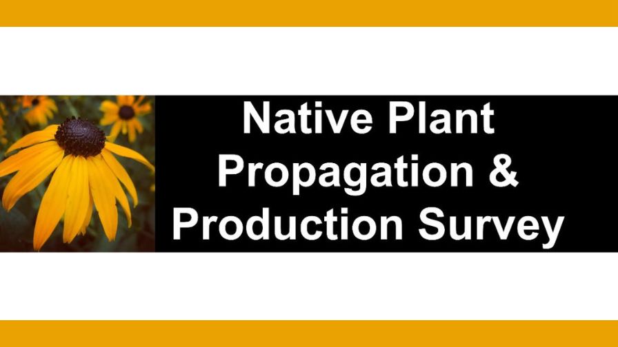 Native Plant Propagation and Production Survey header image.