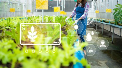 Smart Greenhouse Project Connects University Students with Industry Experience