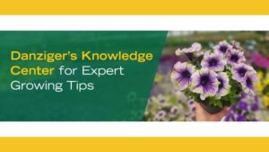 Danziger Debuts New Grower Tools and Technical Support