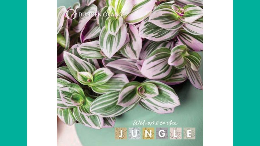 The 2026 Welcome to the Jungle catalog cover from Dümmen Orange.