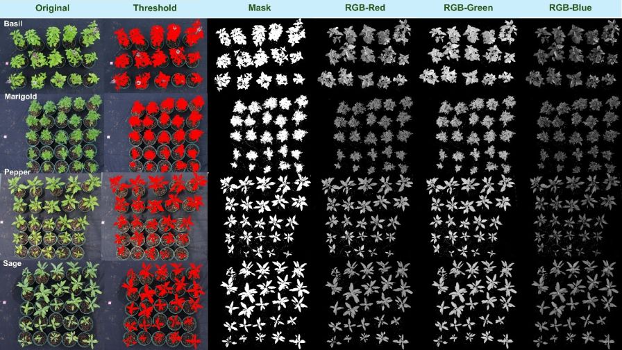 How to Fine-Tune Fertilizer Use in Containers with AI and RGB Imaging