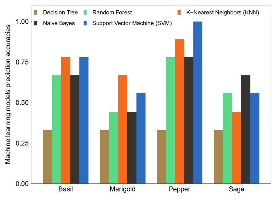 Figure 4. Machine learning models accuracy.