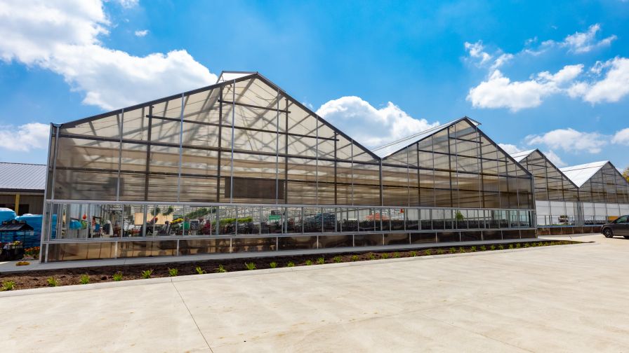 Timbuk Farms' greenhouses.