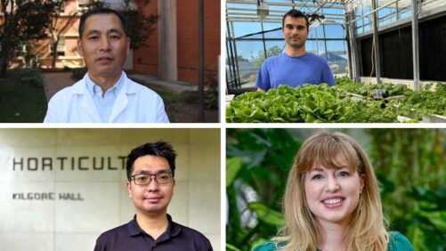 NC State Students and Faculty Recognized at the 2025 ASHS Conference