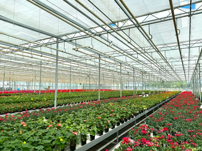 Ridder Shading Screen, RSS 15 D FR