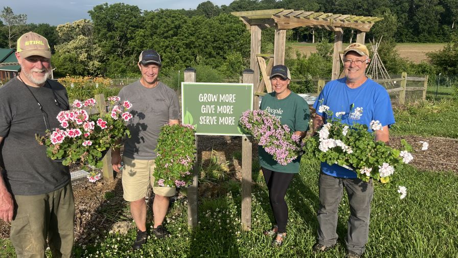 The flowers look beautiful when they arrive at First Fruits Farm.