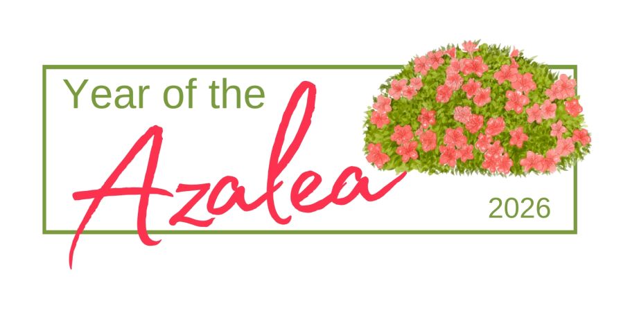 2026 "Year of the" Azalea.