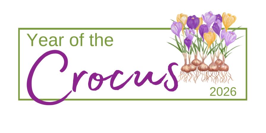 2026 "Year of the" Crocus.