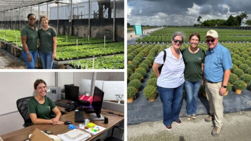 Connecting Students to the Greenhouse Industry Through Internships