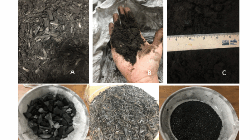 An Introduction to Biochar as a Container Substrate Component