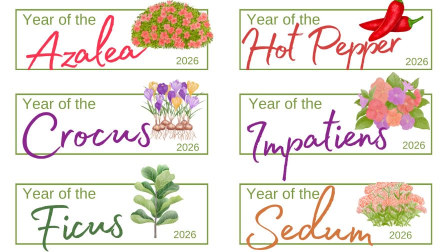 Featured crops for the 2026 "Year of the" program.