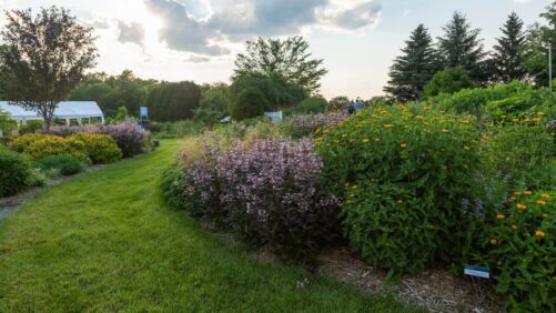 The Important Role of Trial Gardens in the Horticulture Industry