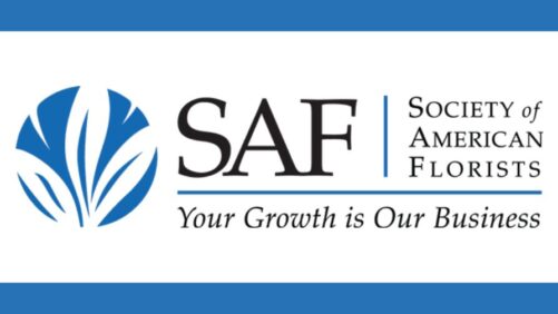 SAF’s Resource Package Guides New Entrants to the Floral Industry