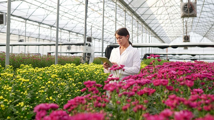 How to Efficiently Allocate Production Resources for 2026