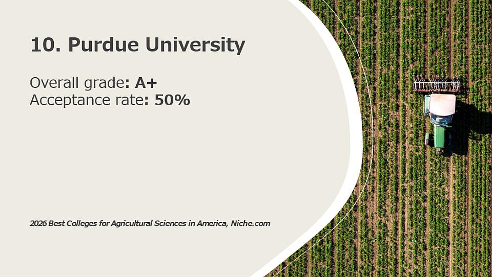 10. Purdue University