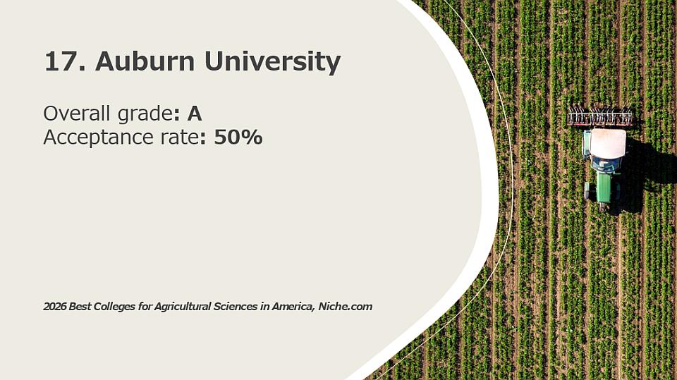 17. Auburn University