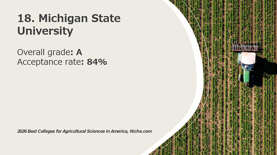 18. Michigan State University