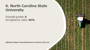 6. North Carolina State University