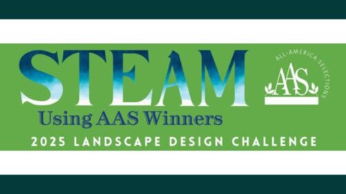 Announcing the Winners of the 2025 Landscape Design Challenge