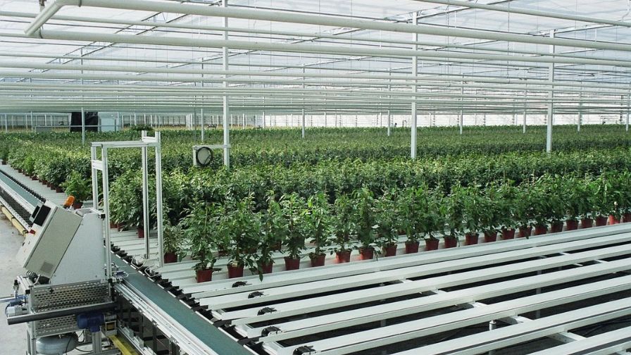 The WPS Plant Order System, a Walking Plant System.