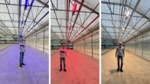 Lessons Learned in Dynamic Lighting with Pleasant View Gardens