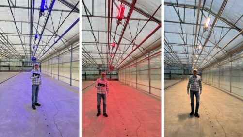 Lessons Learned in Dynamic Lighting with Pleasant View Gardens