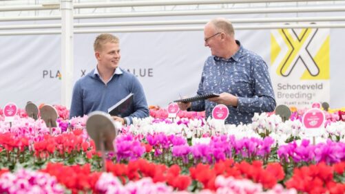 Schoneveld Breeding to Debut New Varieties at Upcoming Events