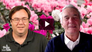 Dr. A’s Top Winter Plant Picks to Spotlight This Holiday Season