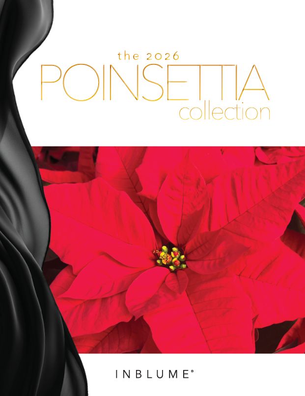 2026 Poinsettia Collection cover page.