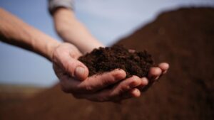 Inside Canada’s 2025 Peat Harvest: Regional Results and Supply Outlook