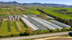 Why Business Valuation Matters for Horticulture Owners