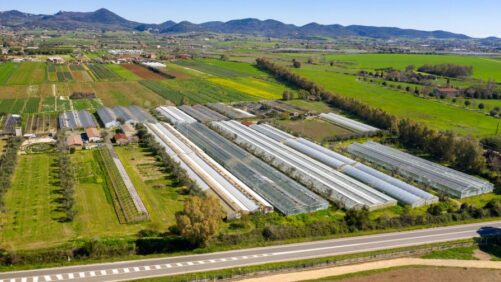 Why Business Valuation Matters for Horticulture Owners