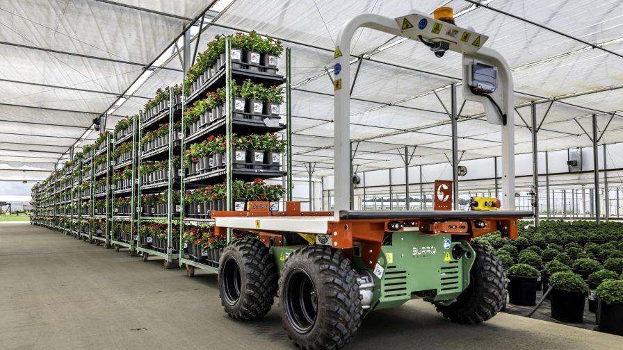 Burro: Greenhouse Grower’s 2025 Technology of the Year