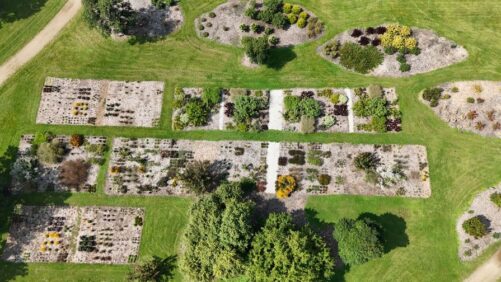 Iowa Arboretum Releases Its 2025 Trial Program Report