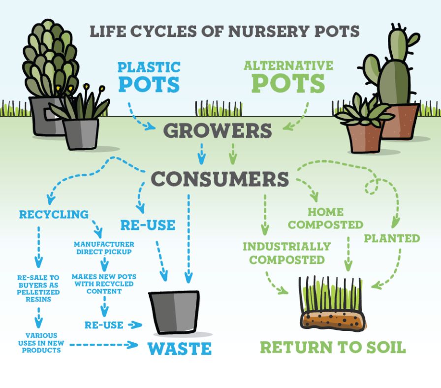 Life Cycles of Nursery Pots infographic.