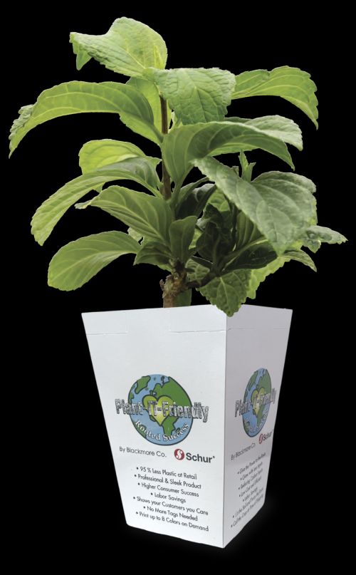 Blackmores Plant-It-Friendly Program offers a paper-based, 95% plastic-free sleeve that replaces plastic pots to cut waste and cost.