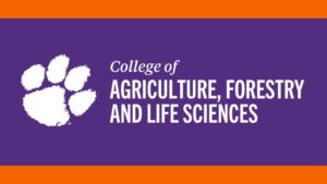 Clemson Launches Chemical Trial to Combat the Cotton Leafhopper
