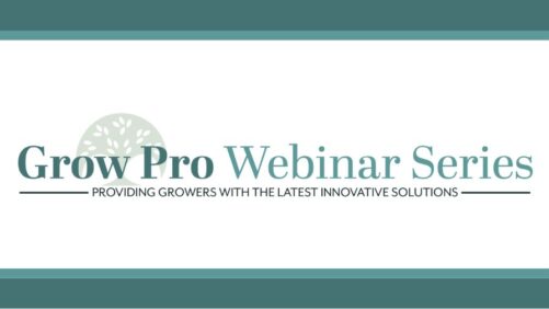 Watch the Full Lineup of American Floral Endowment’s 2025 Grow Pro Webinars