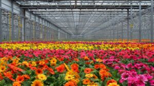 Breaking: Metrolina Greenhouses and South Central Growers Announce Strategic Merger