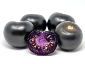 Empress Purple Tomato (Raker-Roberta’s Young Plants)