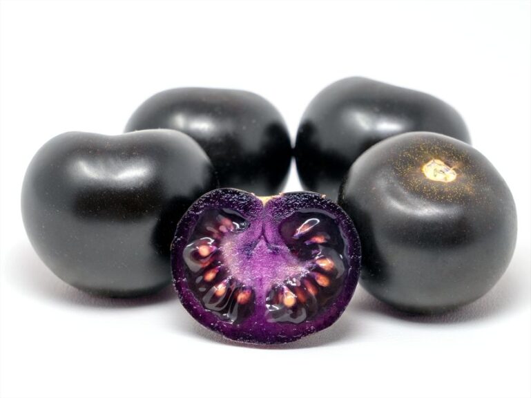 Empress Purple Tomato (Raker-Roberta’s Young Plants)
