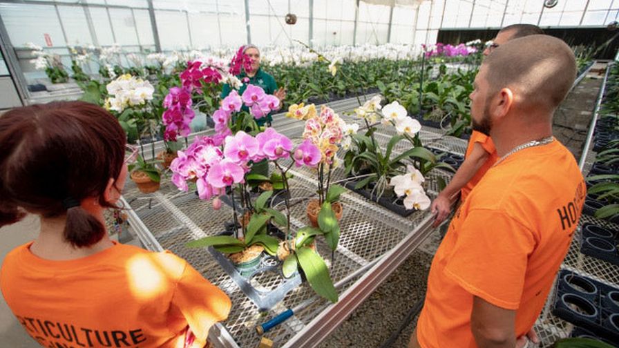 Horticulture Technology students learn the hands-on skills needed for a career in the horticulture industry at Bidwell Training Center.