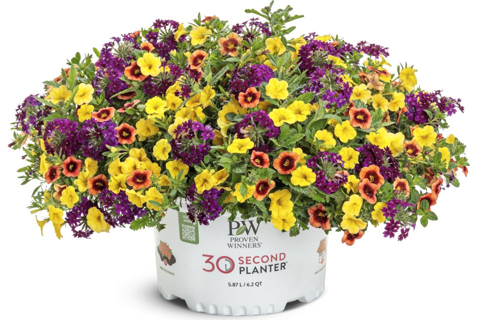 Hot Spiced Wine 30-Second Planter.